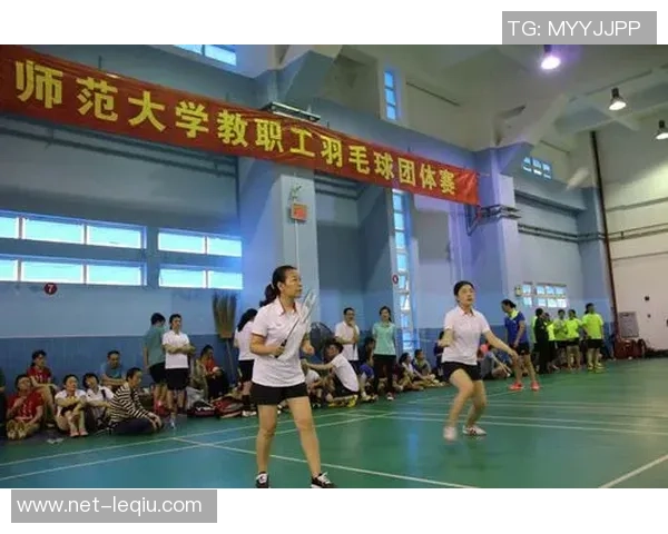 南京羽毛球队团队协作表现的数据分析与提升策略探讨